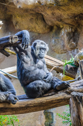 Similar image 11446558