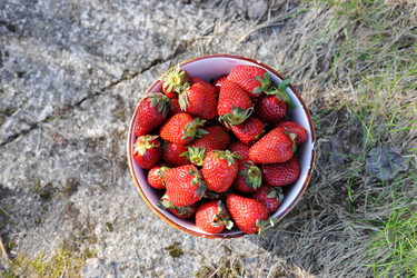 Similar image 11443739