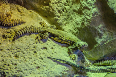 Similar image 11446249