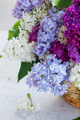 Similar image 11443971