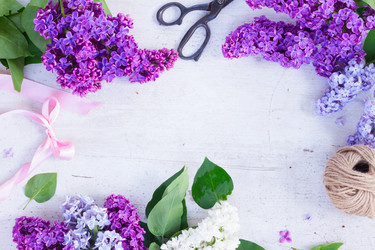 Similar image 11443986