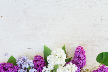 Similar image 11443987