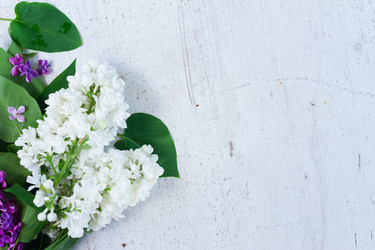 Similar image 11443988