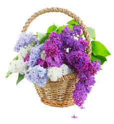 Similar image 11443989