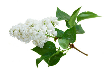 Similar image 11443991