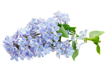 Similar image 11444011