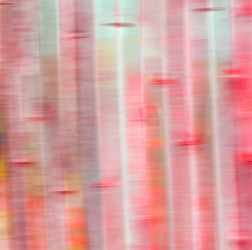 Similar image 11447070