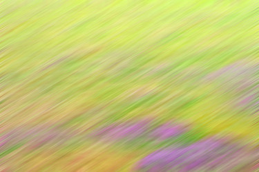 Similar image 11447080