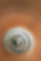 Similar image 11447081