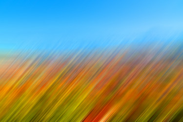 Similar image 11447184