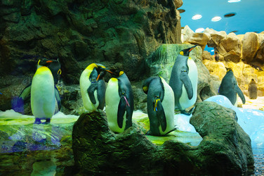 Similar image 11446576