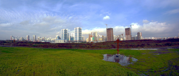 Similar image 11442792