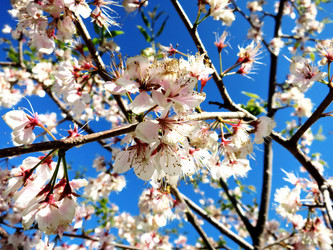 Similar image 11442813