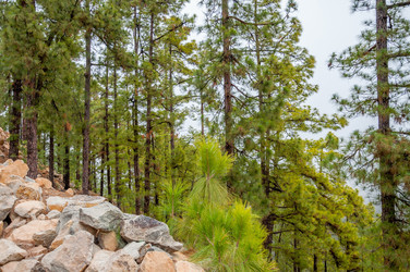 Similar image 11446546