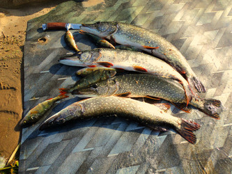 Similar image 11445376