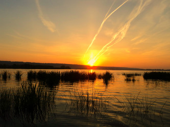 Similar image 11445612