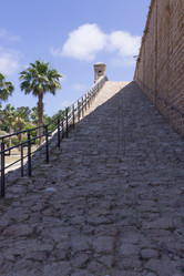 Similar image 11442795