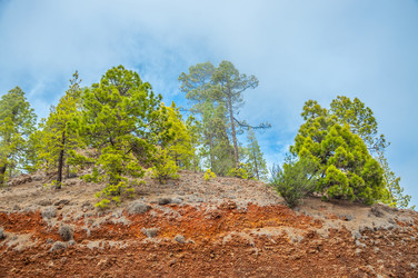 Similar image 11446581