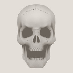 Similar image 11461983