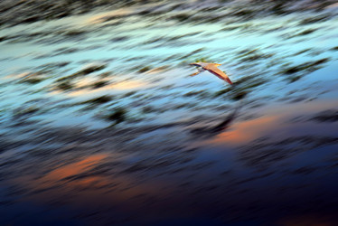 Similar image 11442864