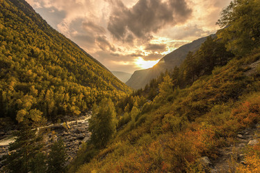 Similar image 11442896