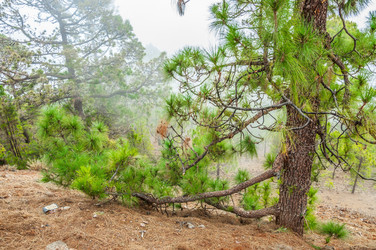 Similar image 11446255