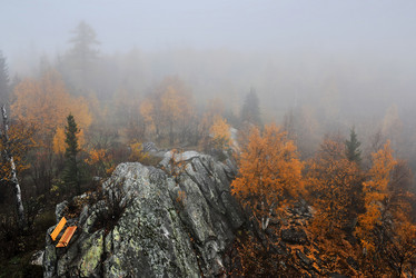 Similar image 11442871