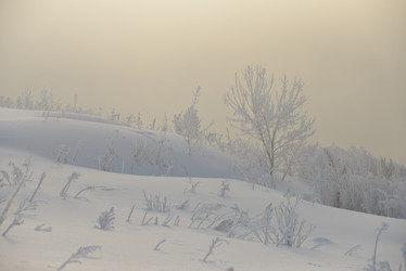 Similar image 11442873