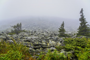 Similar image 11442875