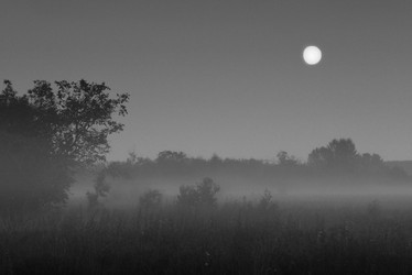 Similar image 11442876