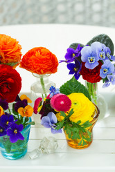 Similar image 11453415