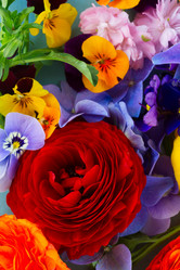 Similar image 11453439