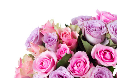 Similar image 11453443