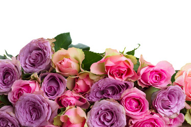 Similar image 11453448