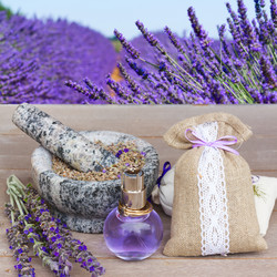 Similar image 11453478