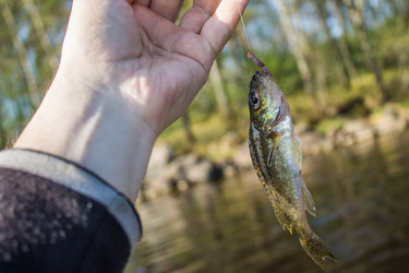 Similar image 11446037