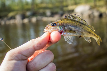 Similar image 11446038