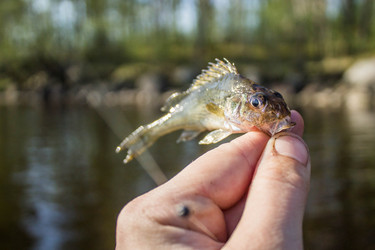 Similar image 11446041