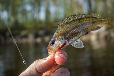 Similar image 11446043