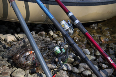 Similar image 11446281