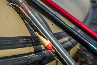 Similar image 11446283