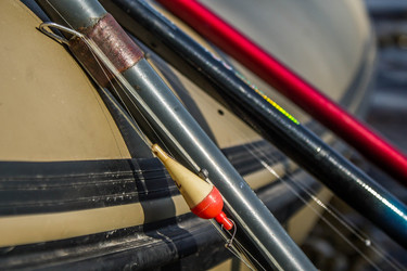 Similar image 11446284