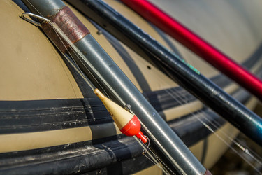 Similar image 11446285