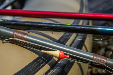 Similar image 11446286