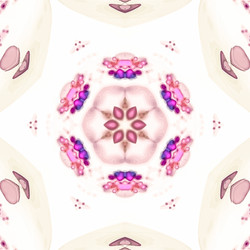 Similar image 11454446