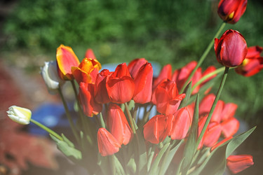 Similar image 11467638