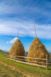 Similar image 11453024