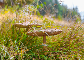 Similar image 11452605