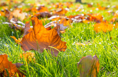 Similar image 11452606