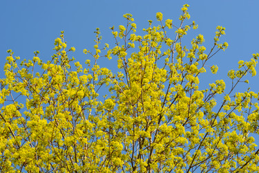 Similar image 11443261